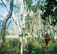 Thorsborne Trail Hinchinbrook Island National Park - New Castle Tourism