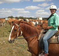 Myella Farm Stay Tours - New Castle Tourism