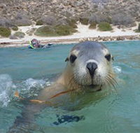 Calypso Star Charters - Newcastle Accommodation