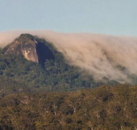 North Queensland Wildscapes Phototours - Newcastle Accommodation