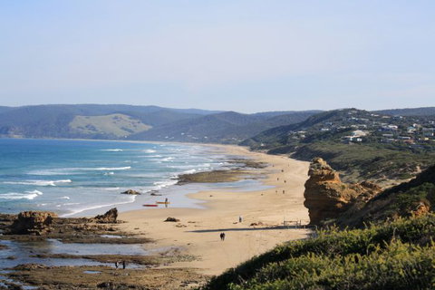 Australian Natural Treasures Touring - Newcastle Accommodation 16