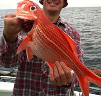 Goin' Off Safaris - Newcastle Accommodation