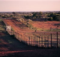Tri State Safaris - New Castle Tourism