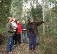 Great Western Tiers Forest Walks Tasmania - New Castle Tourism
