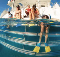 Australian Sunset Safaris - Newcastle Accommodation