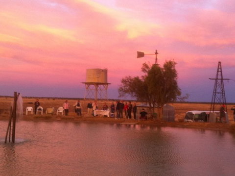 Outback Aussie Day Tours - Newcastle Accommodation 2