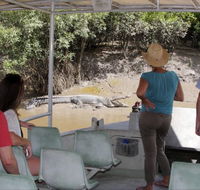 Whitsunday Crocodile Safari - New Castle Tourism