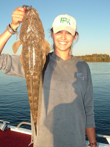 Reel Time Charters Yamba - Newcastle Accommodation 2