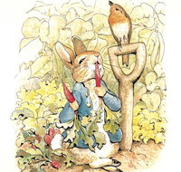 Mount Isa Civic Centre - Newcastle Accommodation