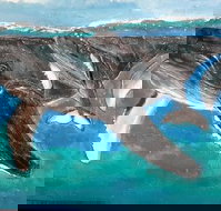 Kaz Art-Whitewash Gallery