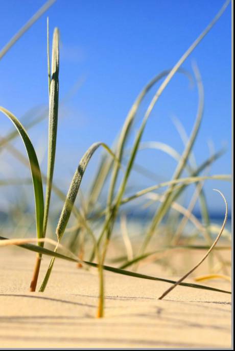 Coastal Visions Photography - Newcastle Accommodation 1