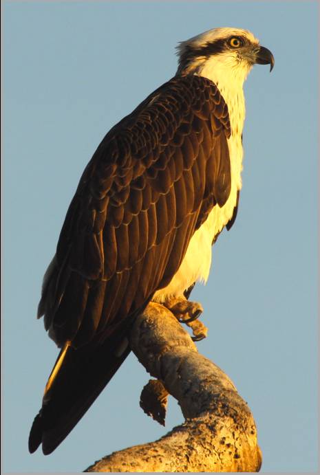 Coastal Visions Photography - Newcastle Accommodation 2