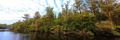 A R Reflections River Cruises - New Castle Tourism 0