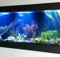 Aquariums in Cairns - Newcastle Accommodation