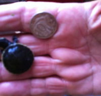 Hurleys Aquariums - Newcastle Accommodation