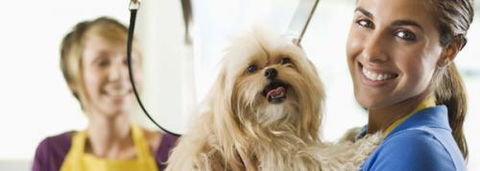 Port Stephens Pet Barn - New Castle Tourism 1