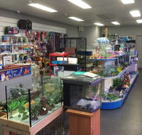 Nambour Pet Shop - New Castle Tourism
