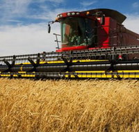 Quirindi Grain and produce - New Castle Tourism