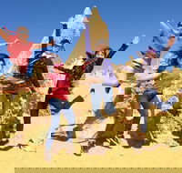 Pinnacles and Swan Valley Day Trip from Perth Including Caversham Wildlife Park Vineyard Lunch Pinnacles and Sandboarding