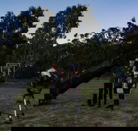 Stargazing Busselton with Mobile Observatory