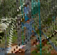 Busselton High Ropes and Zipline Adventure