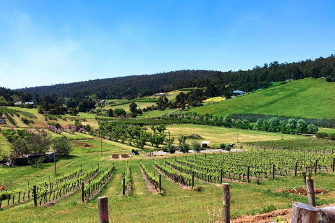 Cider, Wine & Cheese In The Perth Hills - Half-Day Premium Small Group Tour - Newcastle Accommodation 1