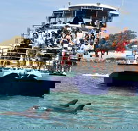 Mandurah Dolphin and Scenic Marine Cruise - Newcastle Accommodation