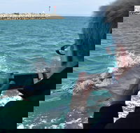 Mandurah Dolphin Island Adventure - Newcastle Accommodation