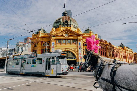A Full Day In Melbourne With A Local: Private & Personalized - Newcastle Accommodation 9
