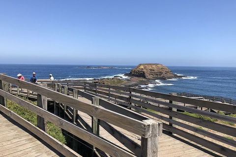 Day Tour Of Phillip Island, The Surrounding Region And Wine Tasting - New Castle Tourism 14