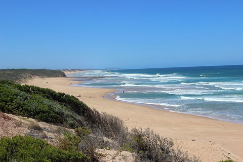 Day Tour Of Phillip Island, The Surrounding Region And Wine Tasting - New Castle Tourism 5