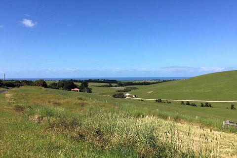 Day Tour Of Phillip Island, The Surrounding Region And Wine Tasting - New Castle Tourism 6