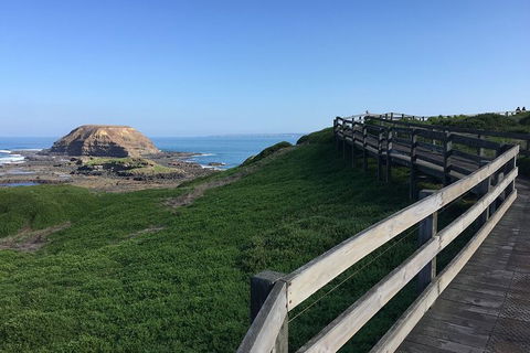 Day Tour Of Phillip Island, The Surrounding Region And Wine Tasting - New Castle Tourism 11