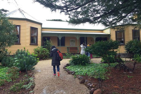 Day Tour Of Phillip Island, The Surrounding Region And Wine Tasting - New Castle Tourism 12