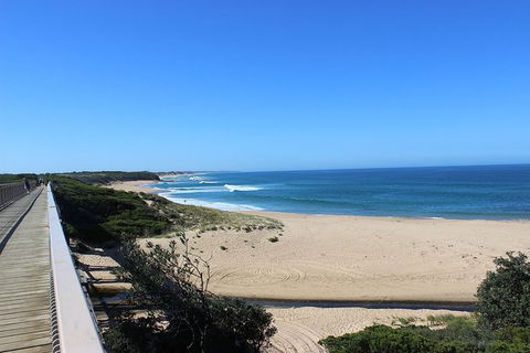 Day Tour Of Phillip Island, The Surrounding Region And Wine Tasting - New Castle Tourism 4