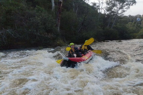 White-Water Kayaking On The Yarra River - Newcastle Accommodation 5
