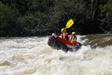 White-Water Kayaking On The Yarra River - Newcastle Accommodation 6