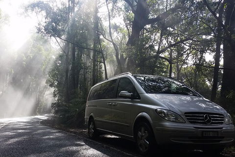 Shore Excursion-Healesville-Sanctuary-Private-Group- Max 7 PAX -Yarra Valley - New Castle Tourism 0