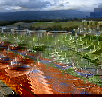Yarra Valley Local Produce and Wine Tasting Tour