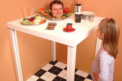 A Maze'N Things Admission With Optional Phillip Island Chocolate Factory General Entry - Newcastle Accommodation 1