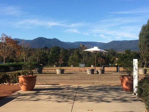 Yarra Valley Wineries And Puffing Billy Steam Train Tour From Melbourne - Newcastle Accommodation 16