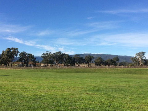 Yarra Valley Wineries And Puffing Billy Steam Train Tour From Melbourne - Newcastle Accommodation 17