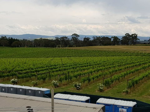 Yarra Valley Wineries And Puffing Billy Steam Train Tour From Melbourne - Newcastle Accommodation 4