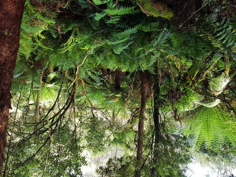 Yarra Valley Wineries And Puffing Billy Steam Train Tour From Melbourne - Newcastle Accommodation 6