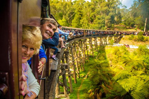 Yarra Valley Wineries And Puffing Billy Steam Train Tour From Melbourne - Newcastle Accommodation 1