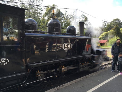 Yarra Valley Wineries And Puffing Billy Steam Train Tour From Melbourne - Newcastle Accommodation 13