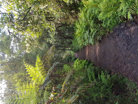 Yarra Valley Wineries And Puffing Billy Steam Train Tour From Melbourne - Newcastle Accommodation 8