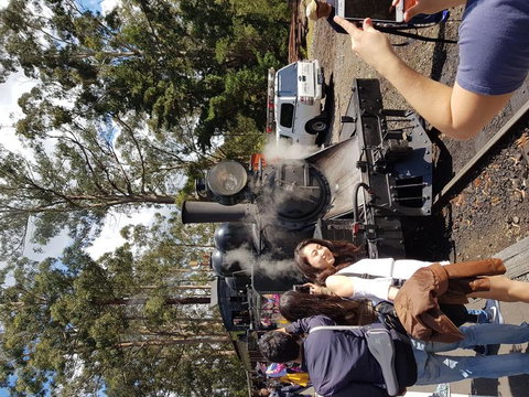 Yarra Valley Wineries And Puffing Billy Steam Train Tour From Melbourne - Newcastle Accommodation 5