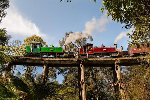 Yarra Valley Wineries And Puffing Billy Steam Train Tour From Melbourne - Newcastle Accommodation 32