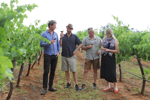 Yarra Valley Wineries And Puffing Billy Steam Train Tour From Melbourne - Newcastle Accommodation 29